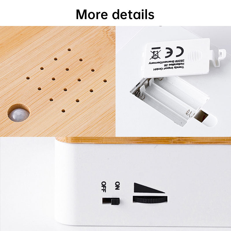 Box mit Vogelgezwitscher